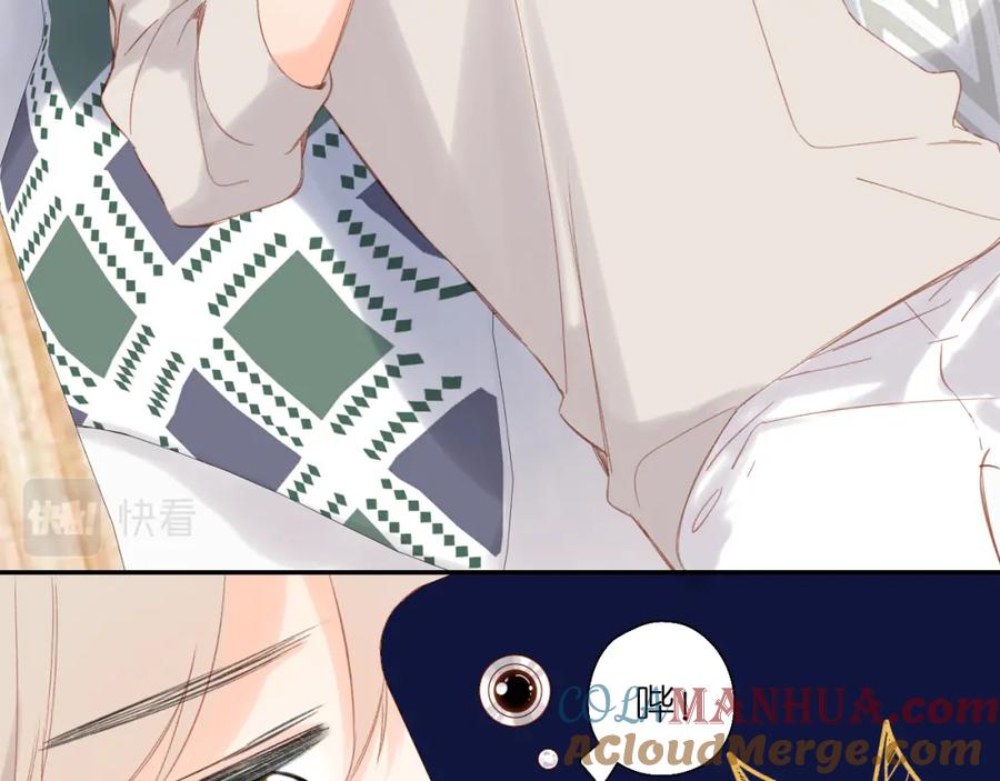 73.jpg