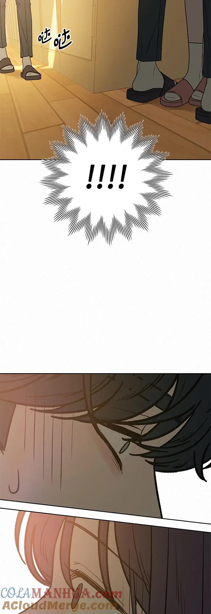 135.jpg