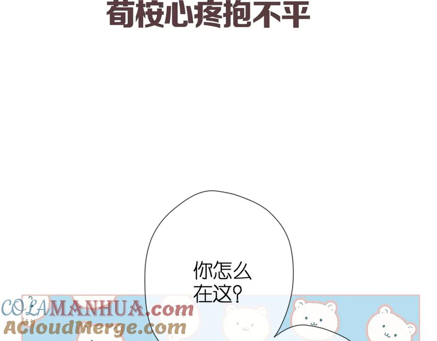 113.jpg