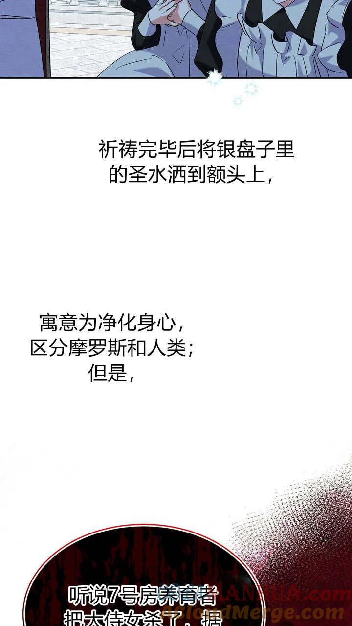 52.jpg