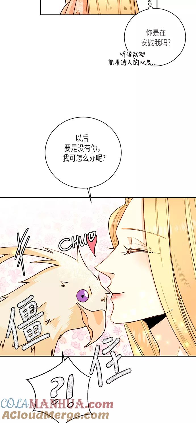 第24话-再婚皇后-Alphatart/HereLee,SUMPUL（第4张）