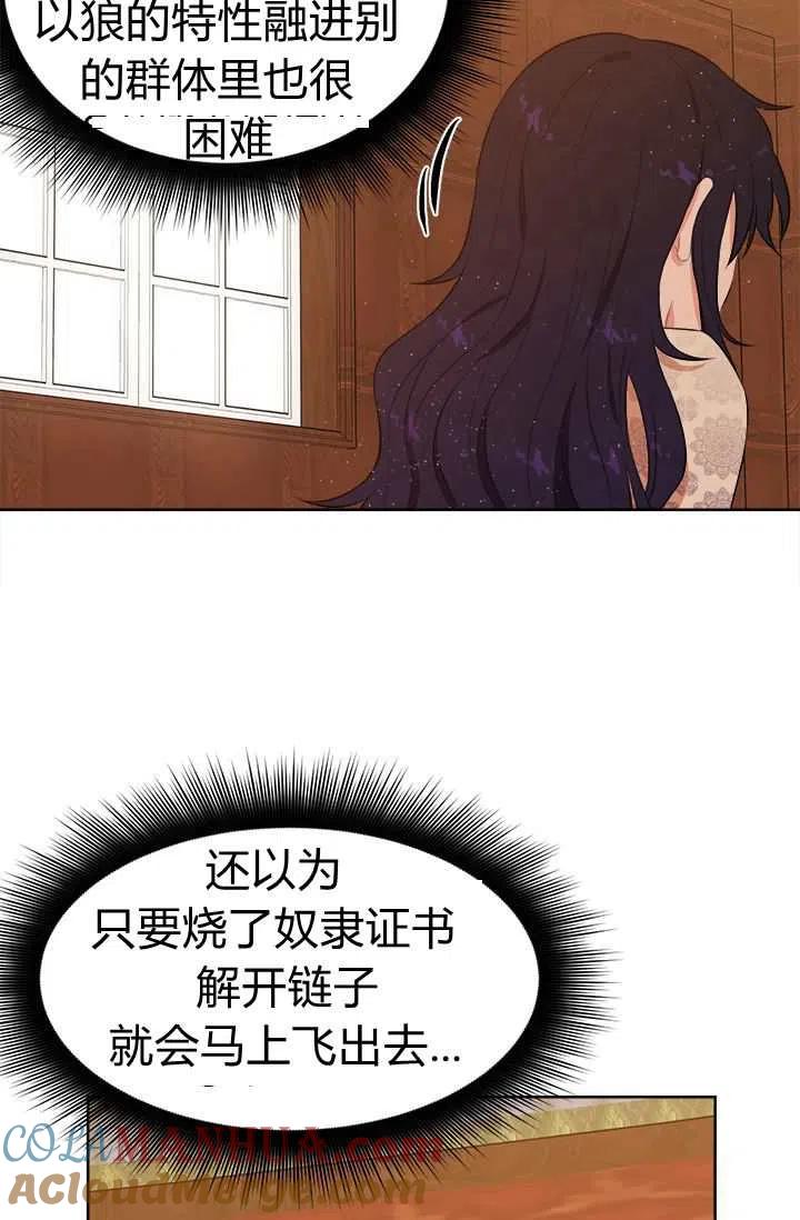 52.jpg