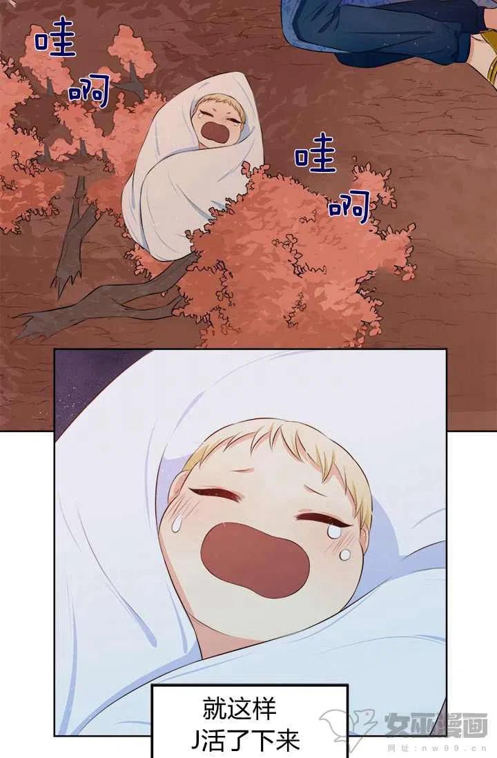 62.jpg