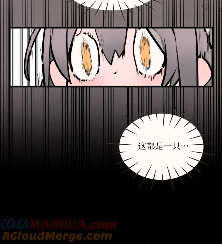 55.jpg