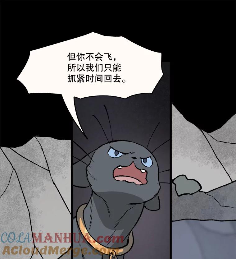 43.jpg