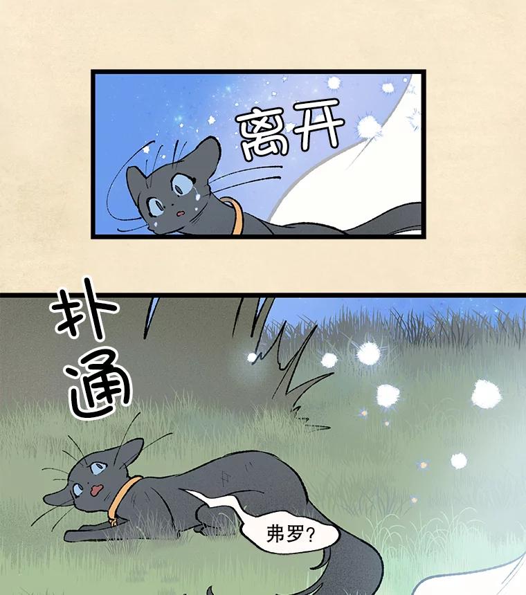 39.jpg