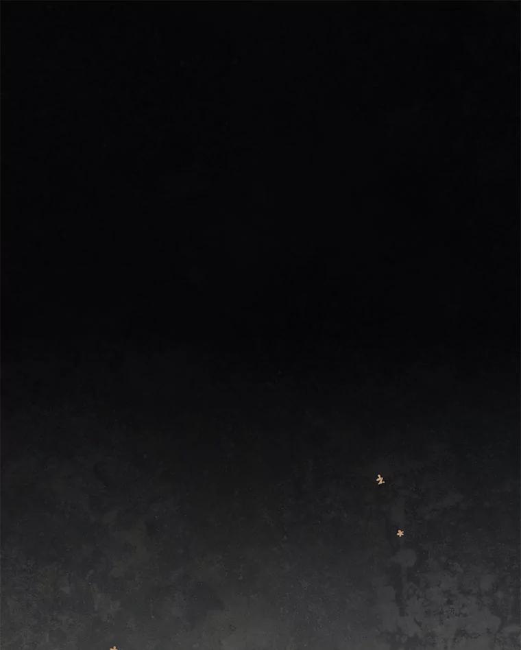 54.jpg
