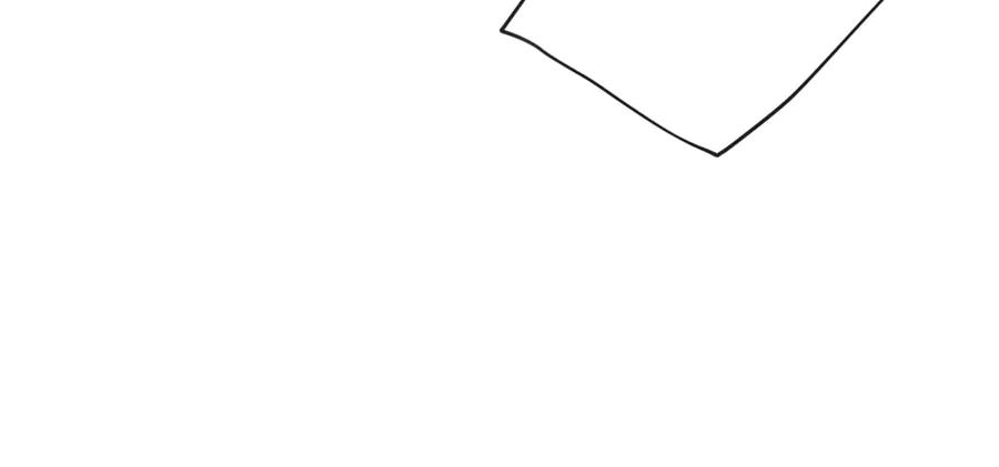 95.jpg