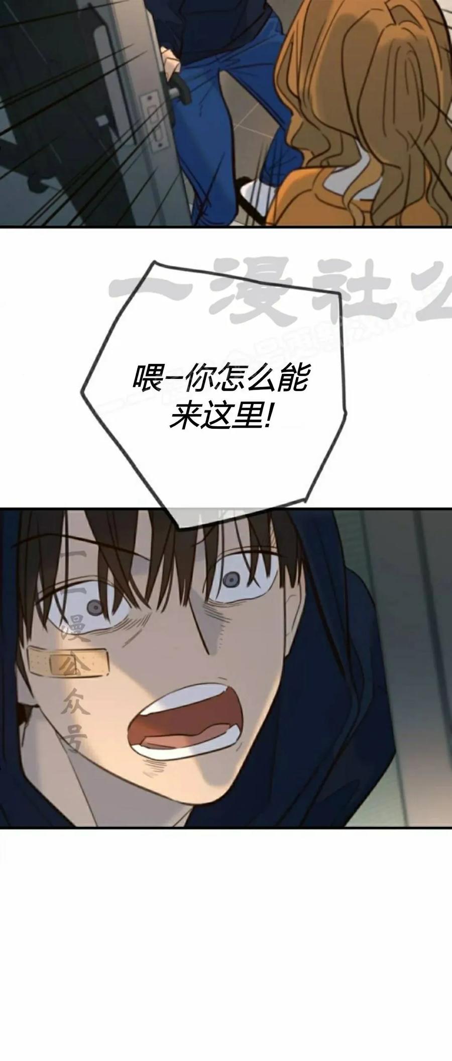 84.jpg