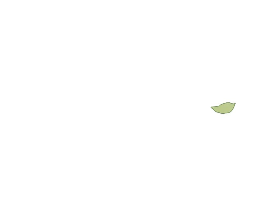 75.jpg