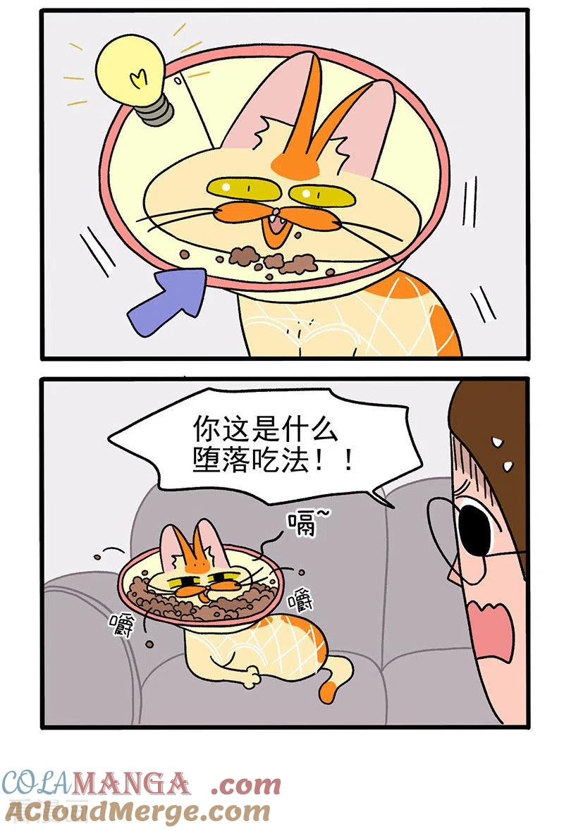 第23话2术后恢复-阿满和麦茶-新漫画 日胖大海寺（第4张）
