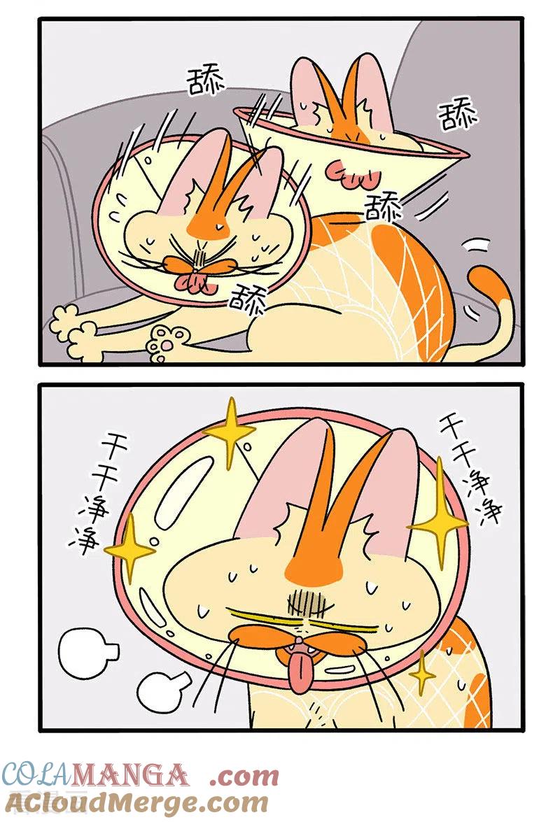 第23话2术后恢复-阿满和麦茶-新漫画 日胖大海寺（第2张）