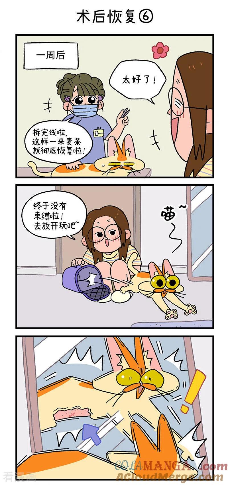 第23话2术后恢复-阿满和麦茶-新漫画 日胖大海寺（第5张）