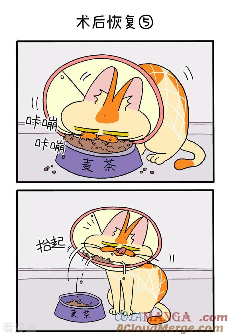 第23话2术后恢复-阿满和麦茶-新漫画 日胖大海寺（第3张）