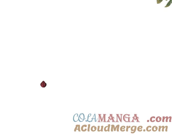 64.jpg