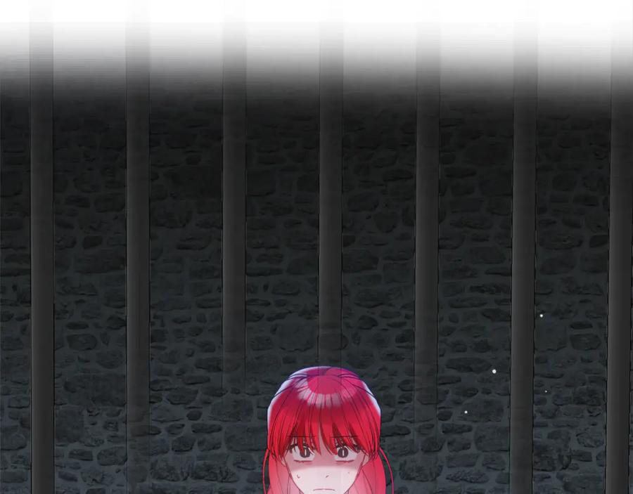 79.jpg