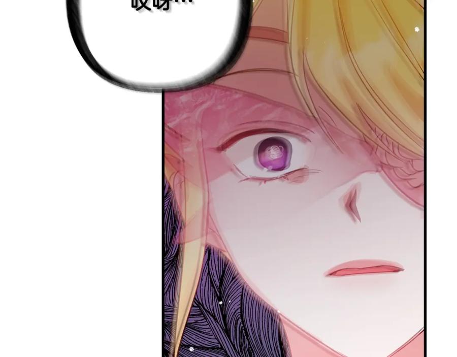 164.jpg