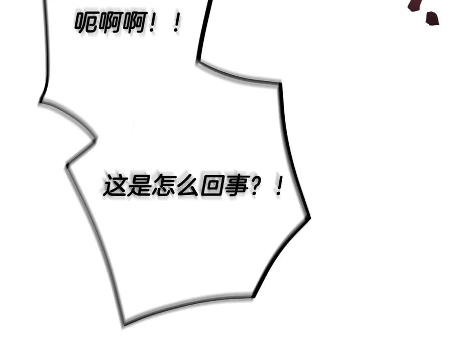170.jpg