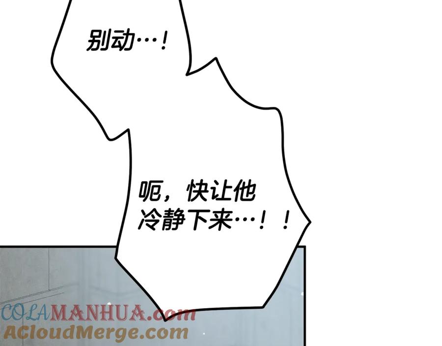120.jpg