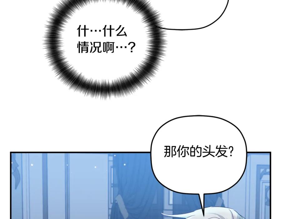 95.jpg