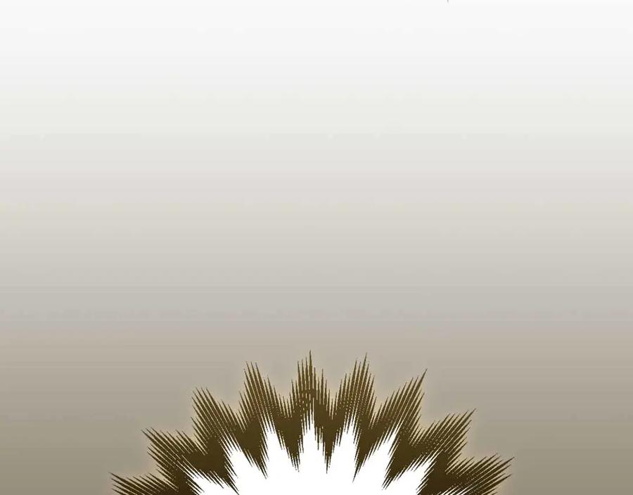 243.jpg