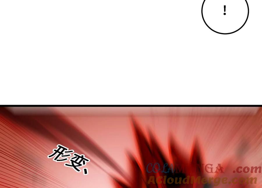 161.jpg