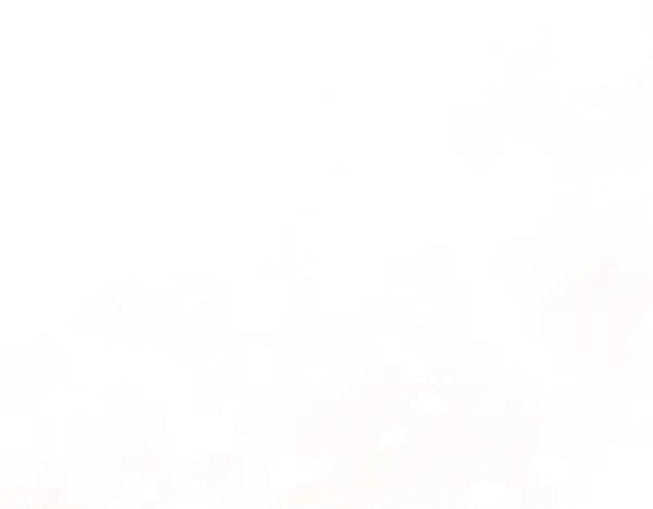 82.jpg