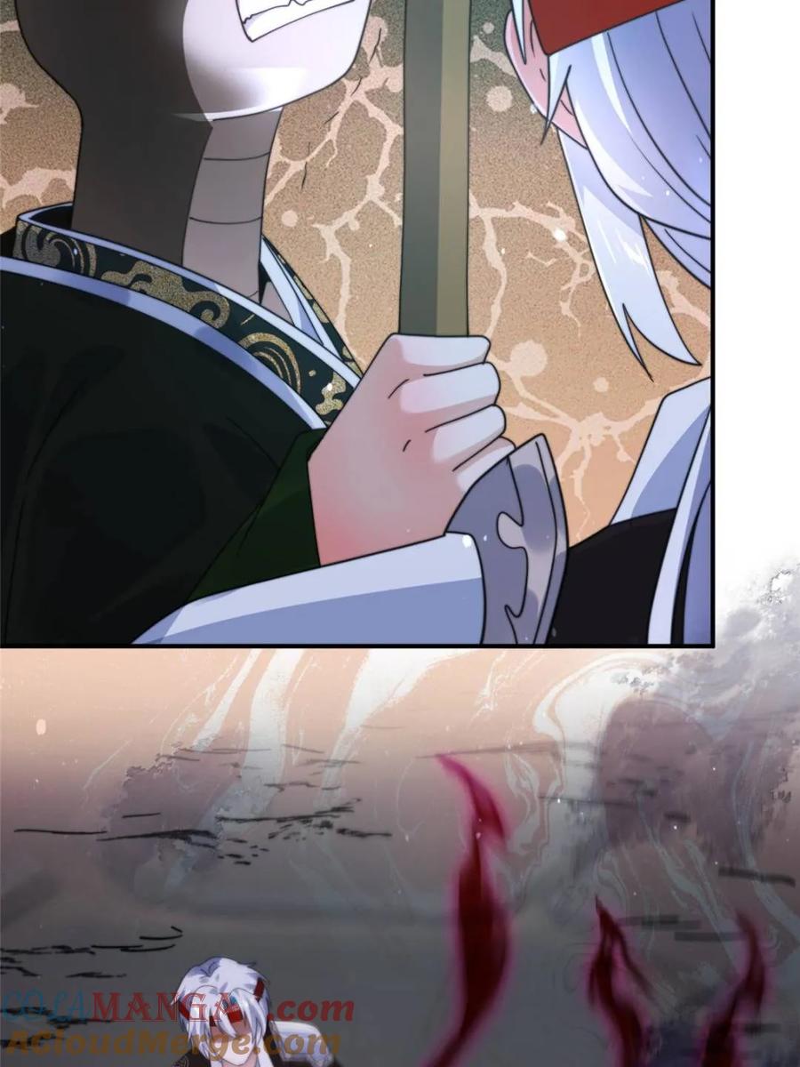 40.jpg