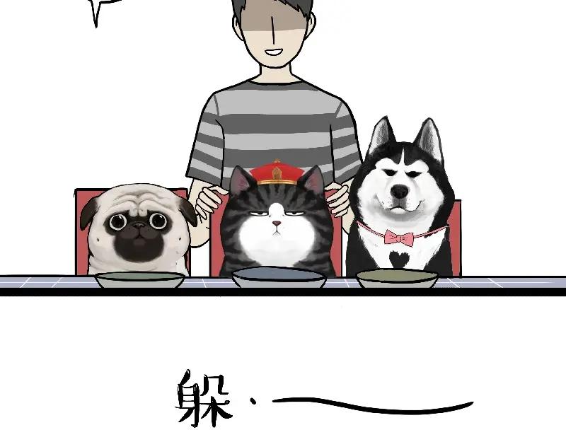 41.jpg