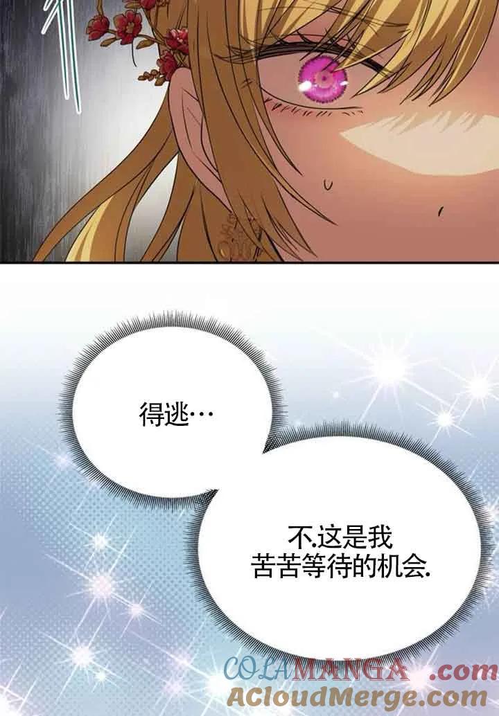 137.jpg