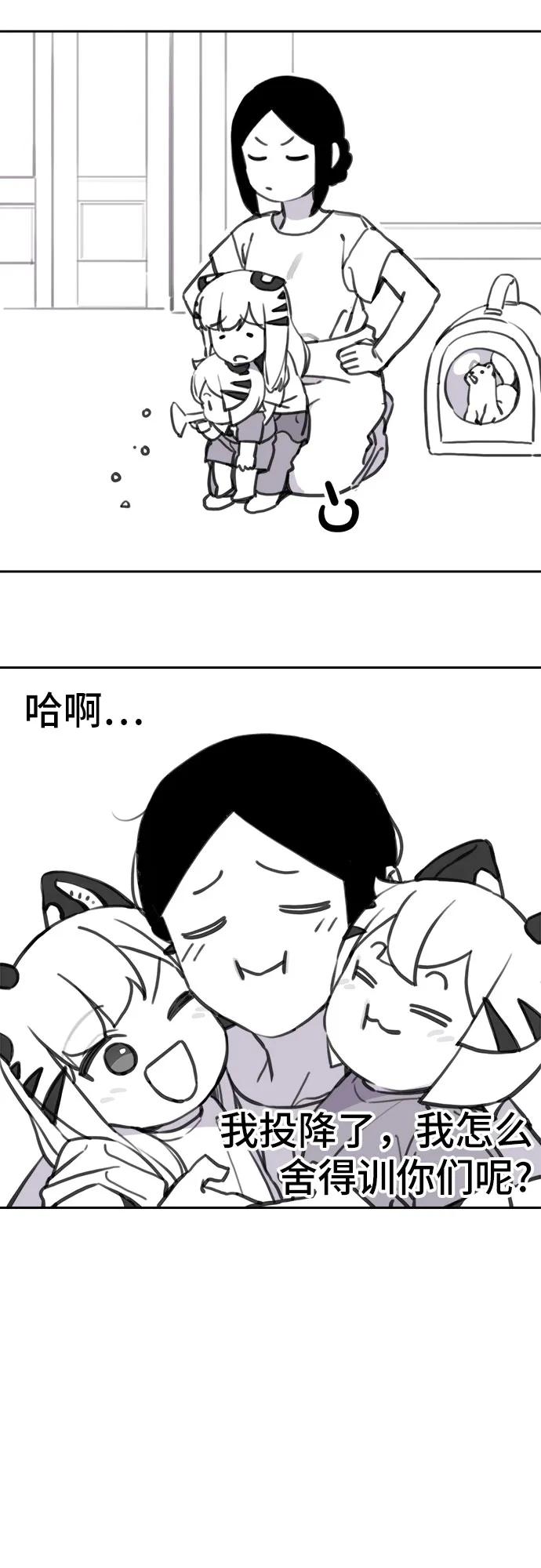 16.jpg