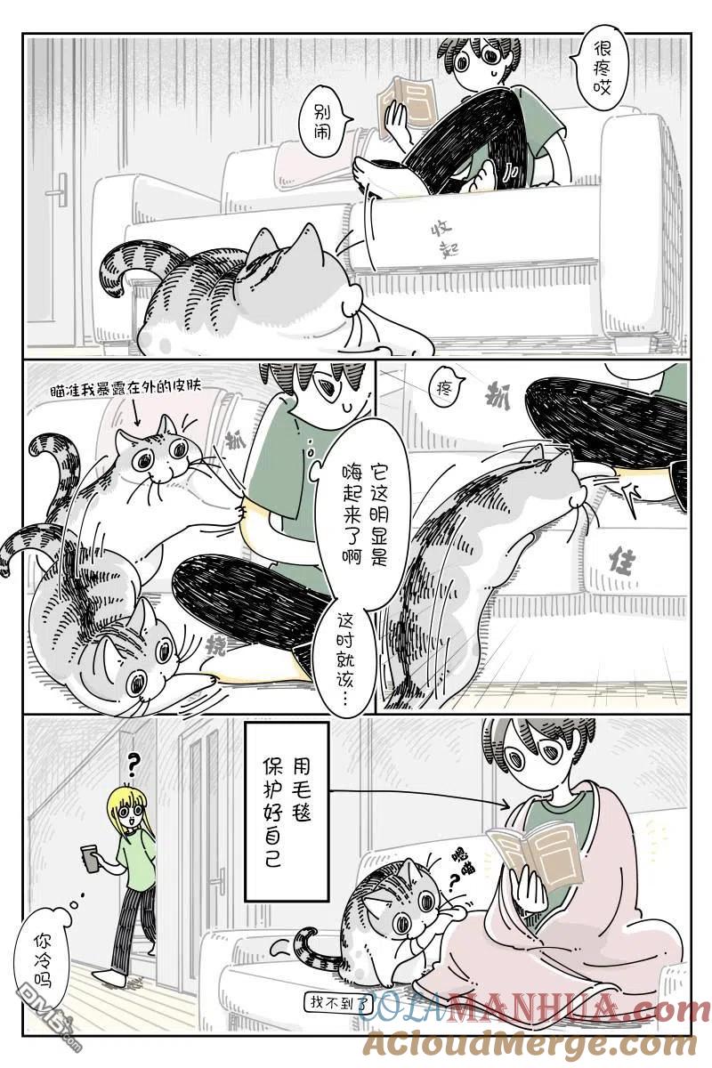 第129话-关于养猫我一直是新手-キュルZ（第1张）