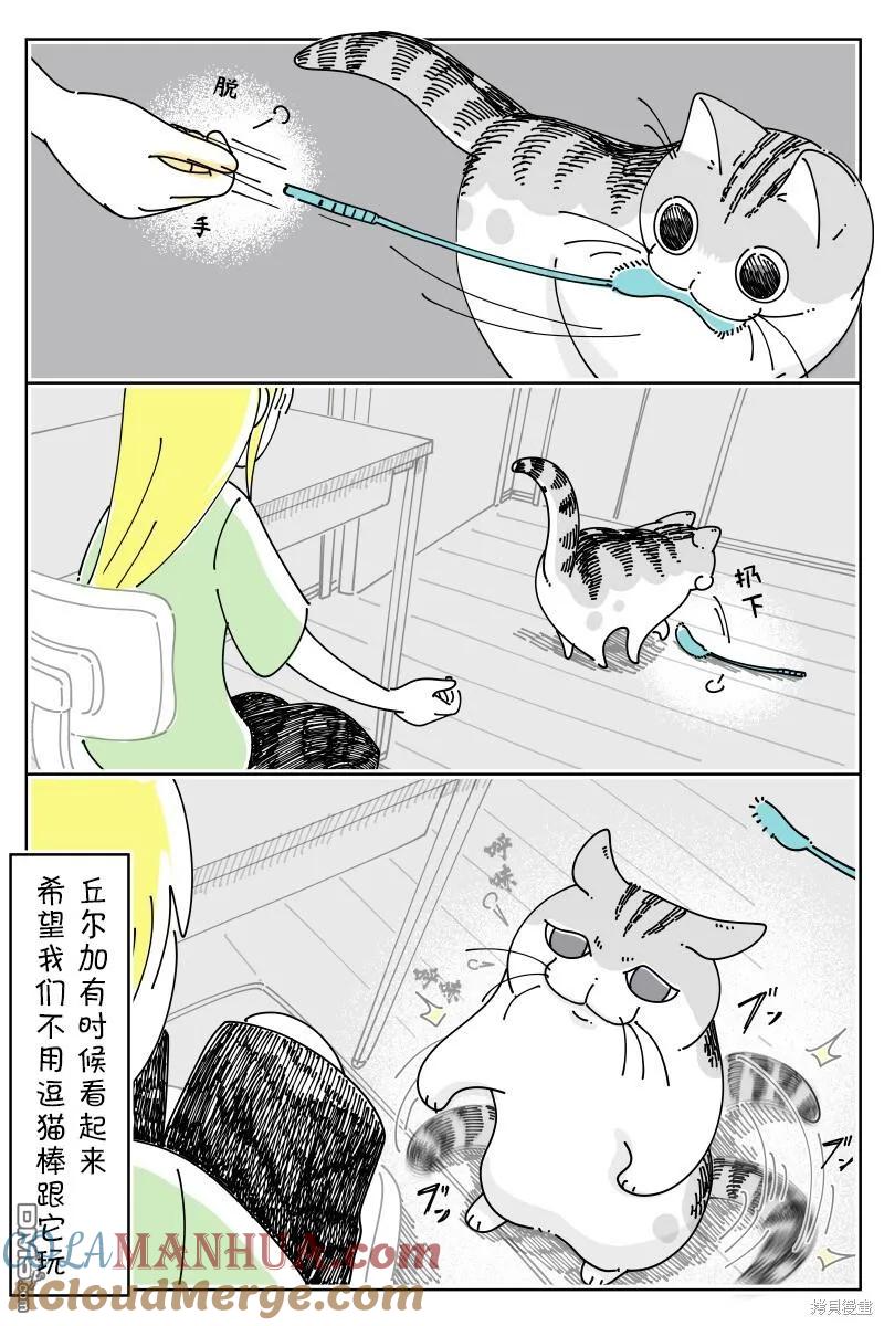 第179话-关于养猫我一直是新手-キュルZ（第2张）