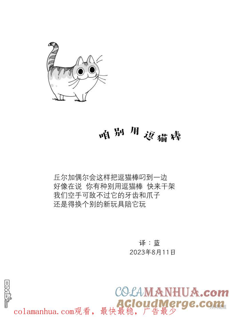 第179话-关于养猫我一直是新手-キュルZ（第3张）