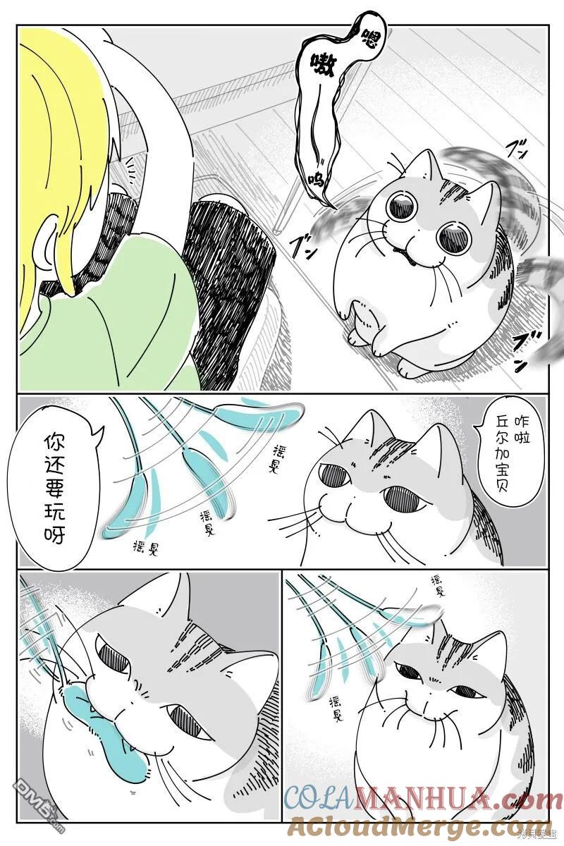 第179话-关于养猫我一直是新手-キュルZ（第1张）