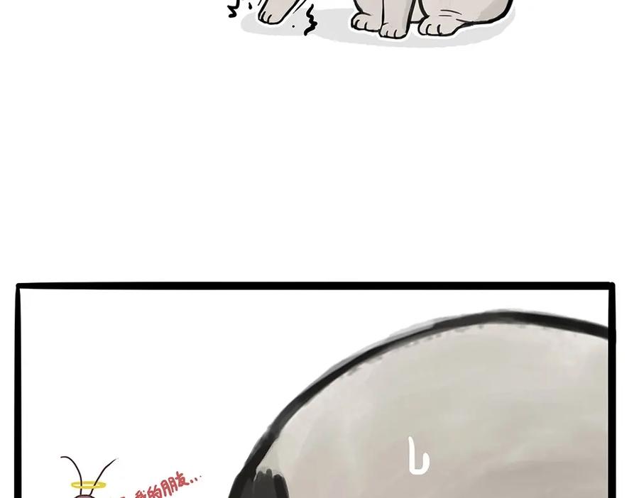 62.jpg
