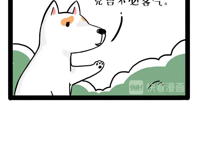 81.jpg