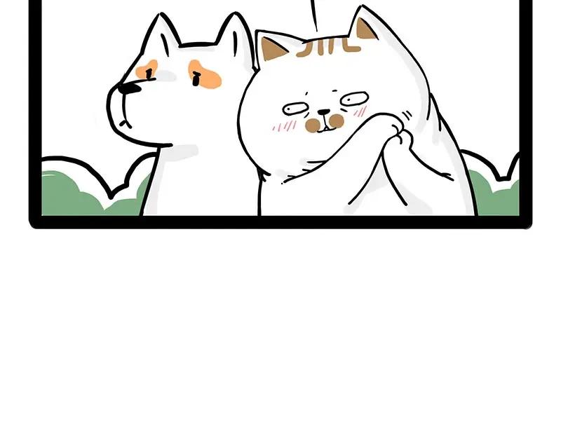 66.jpg