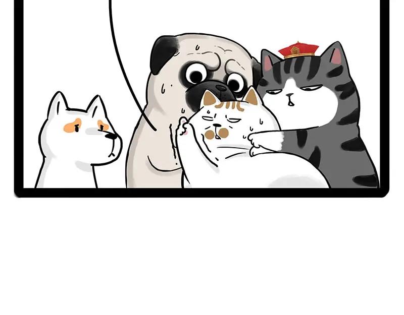 87.jpg