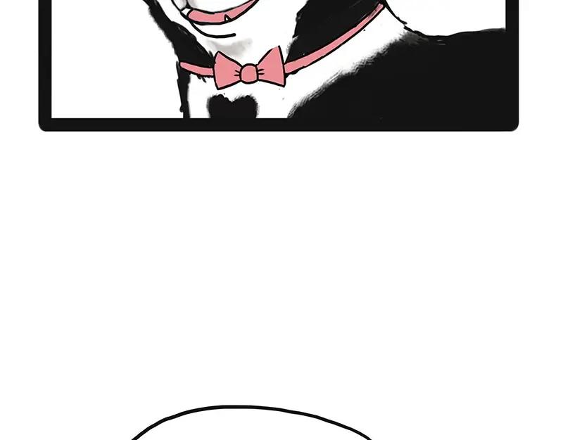 78.jpg