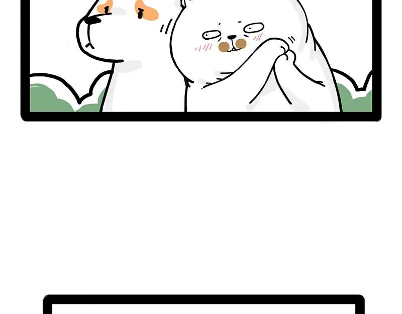 68.jpg