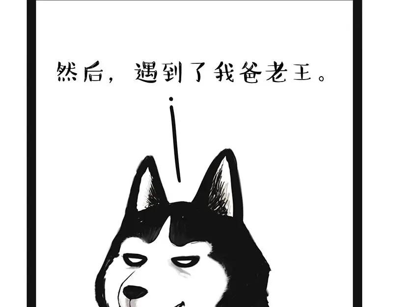 77.jpg