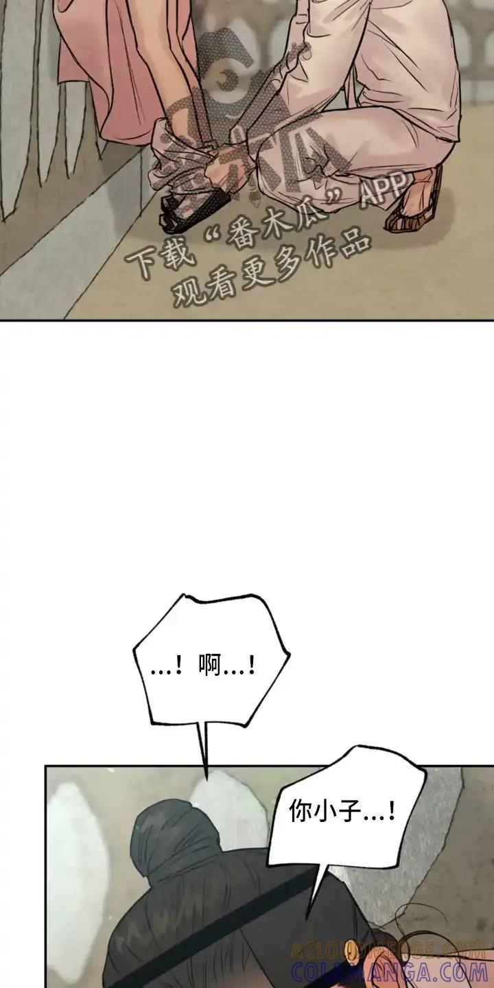 17.jpg