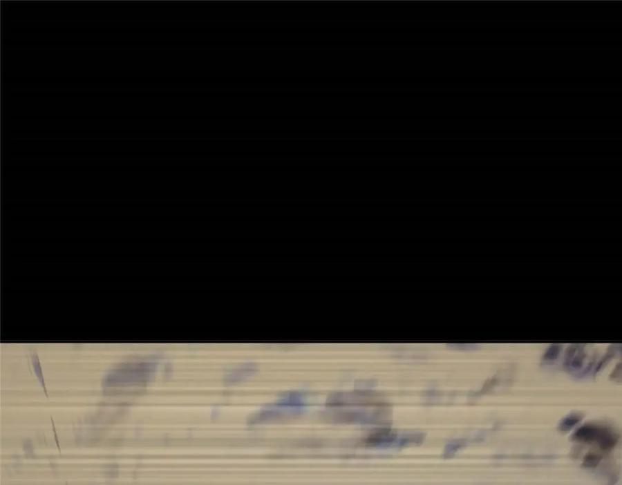 119.jpg