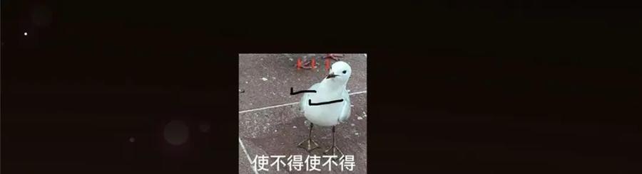 147.jpg