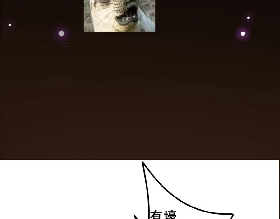 139.jpg