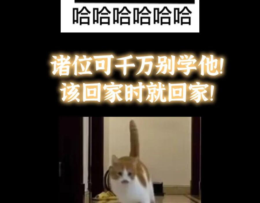 163.jpg
