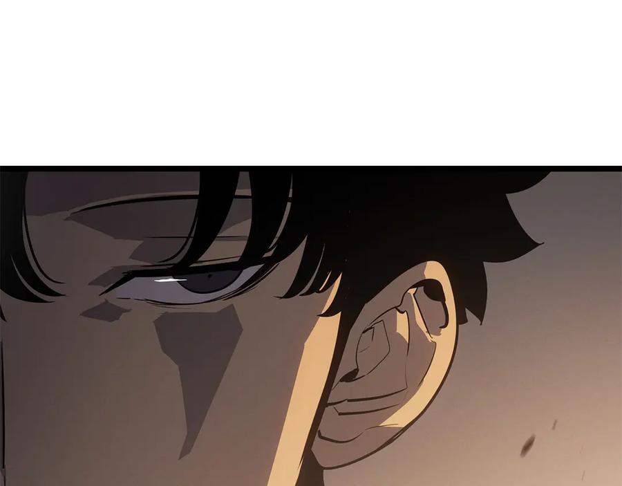 207.jpg