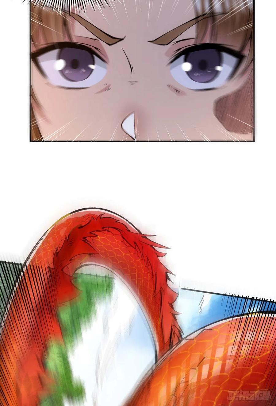 47.jpg
