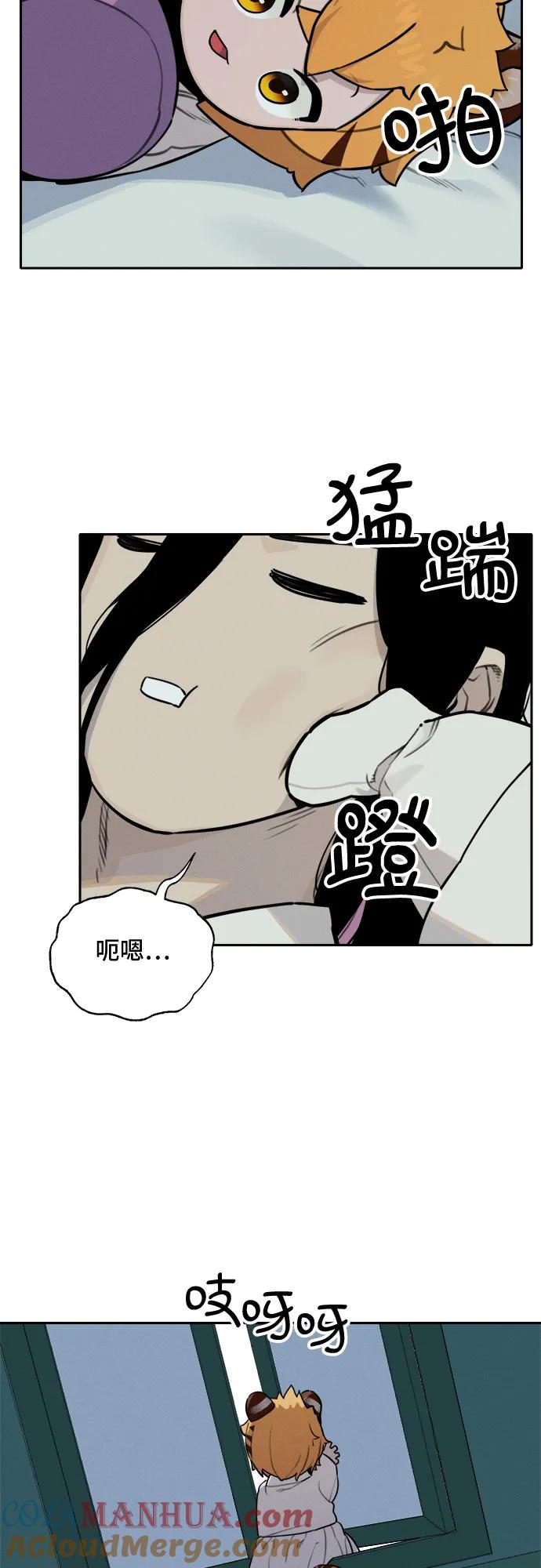 29.jpg